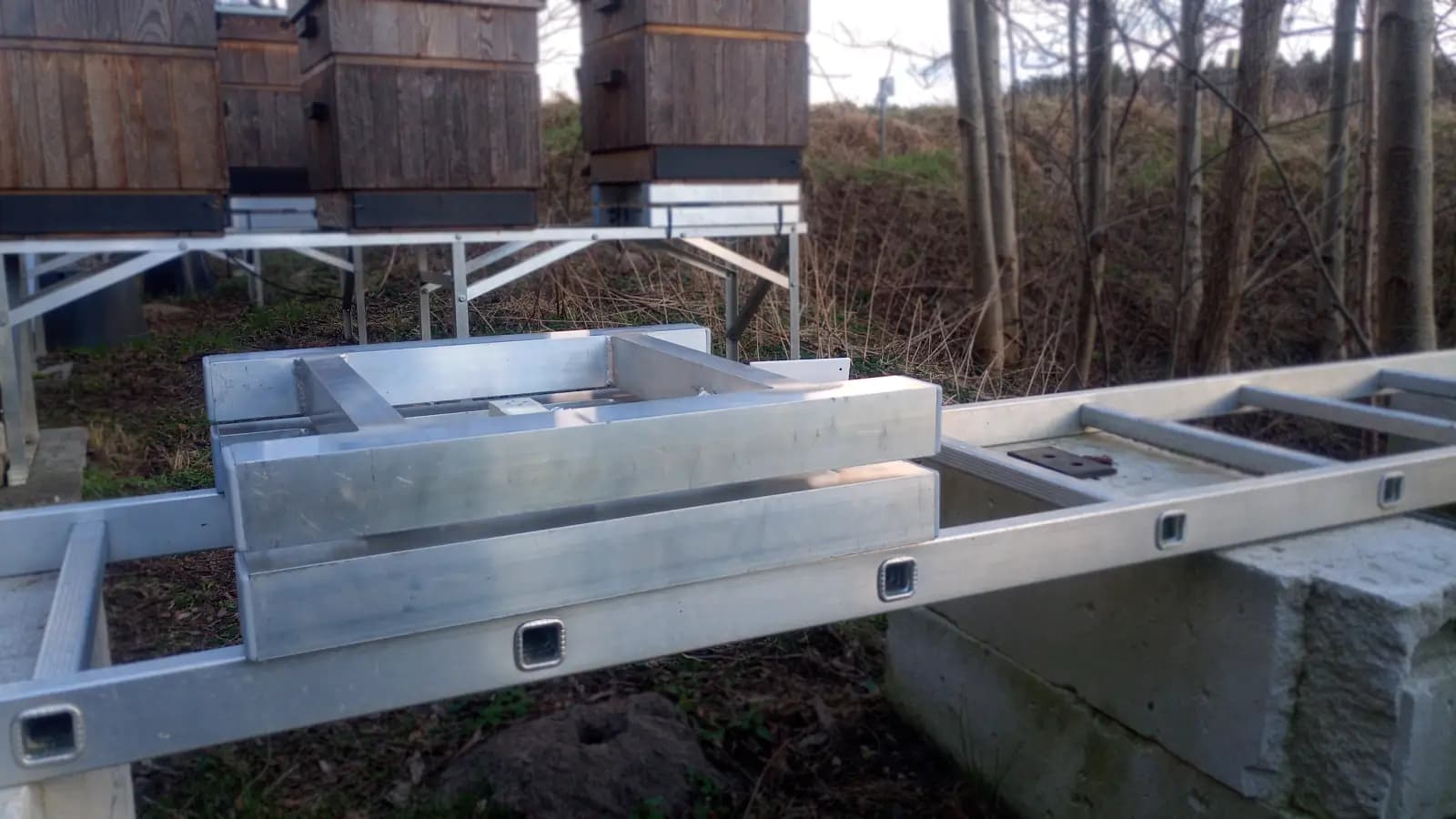 ETWAN Scale V0 — top view